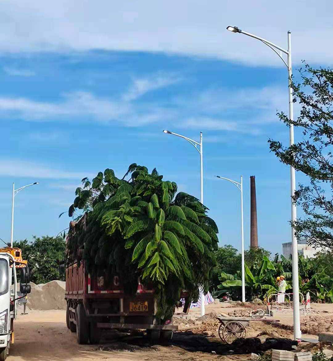 星空（中国）助力东莞洪梅万科星城道路亮化工程